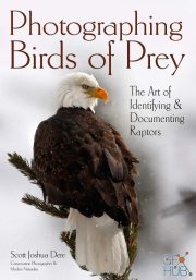 Photographing Birds of Prey –The Art of Identifying & Documenting Raptors (EPUB)