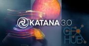 The Foundry Katana 3.0 v1 Win x64