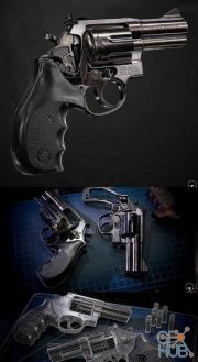 Revolver Smith & Wesson Model 686 PBR