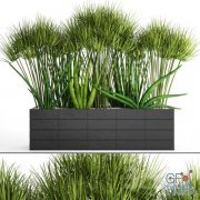 Flowerbed with plants 3D MAX 2011, FBX