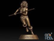Diana from Dungeons-Dragons – 3D Print