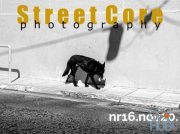 Street Core Photography – November 2020 (True PDF)