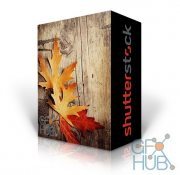 Shutterstock Collection – Bundle 1