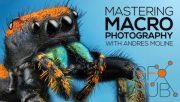 Mastering Macro Photography - The Complete Shooting and Editing Tutorial