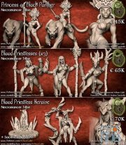 Necromancer Tribe – 3D Print