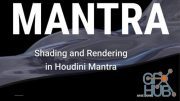 Gumroad – Mantra Shading and Rendering Workshop – Assets and Scene Files