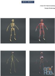DOSCH 3D – Human Anatomy