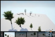 Unreal Engine Marketplace – Low Poly Trees Pack