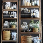 Shelving in the bathroom with plants