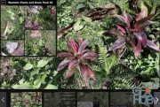 Unreal Engine Marketplace – Realistic Plants and Grass Pack 02