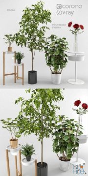 Ikea plants set