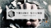 Triune Sound – Fighting SFX