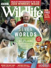BBC Wildlife – November 2019 (PDF)