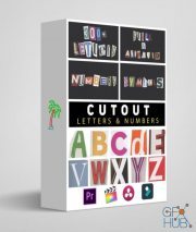 Tropic Colour – Cutout letters & numbers
