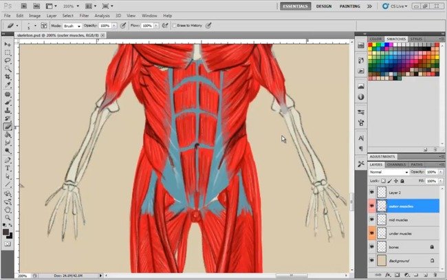 Udemy – Easy Steps to Figure Drawing – Anatomy of Male & Female Body