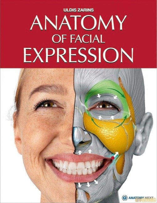 Uldis Zarins – Anatomy of Facial Expressions