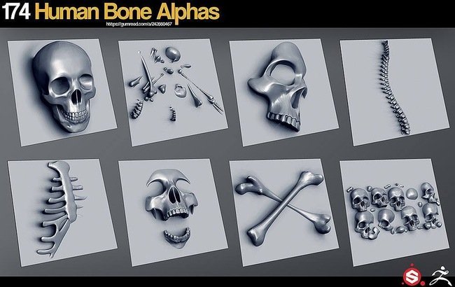 Gumroad – 174 Human Bone Alphas