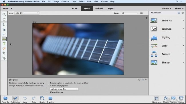 Lynda – Learning Photoshop Elements 2018