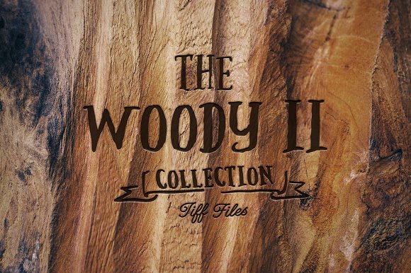 Creativemarket – The Woody Collection II