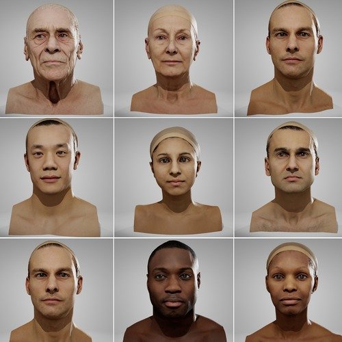 Anatomy360, Neutral Heads Pack 01, 3d-models, download