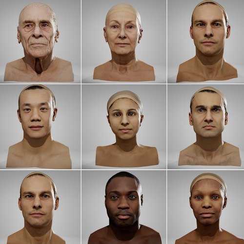 Anatomy360 – Neutral Heads Pack 01