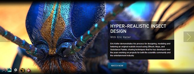 The Gnomon Workshop – Hyper-realistic Insect Design with Eric Keller 2017