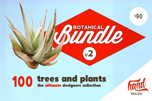 Creativemarket – Botanical Bundle v2