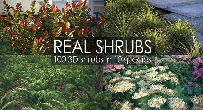 VIZPARK – Real Shrubs (3ds Max only)