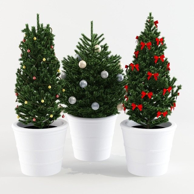 Three decorated Christmas trees