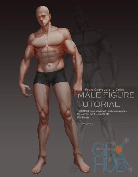 Gumroad – Male Body Tutorial Complete Version – Yu Cheng Hong