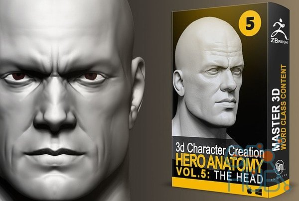 Cubebrush – Hero Anatomy En Vol. 5 The Head