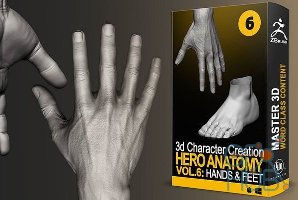 Cubebrush – Hero Anatomy En Vol.6 Hands and Feet