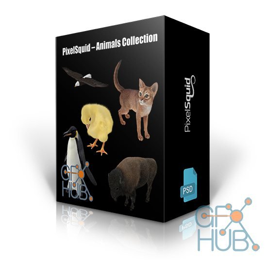 PixelSquid – Animals Collection