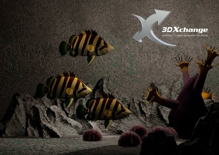 Reallusion 3DXchange 7.22.1703.1 Pipeline Win x64