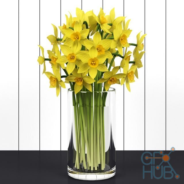 Daffodils in vase