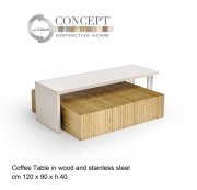 Bonseki Bridge Concept table by Caroti