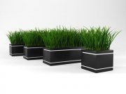 Trays with green grass