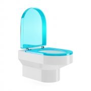 White with blue toilet