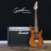 Performance electric guitars by Godin