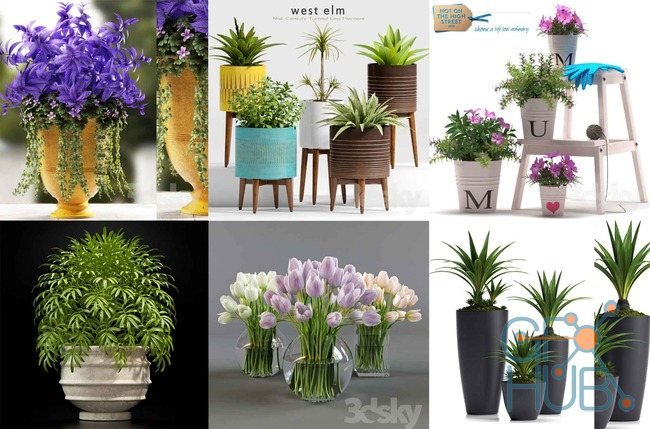 13 3D-Plants Collection