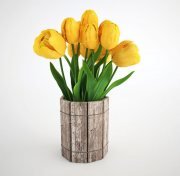 Yellow tulips in rustic flowerpot