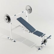 Multifunctional sports bench
