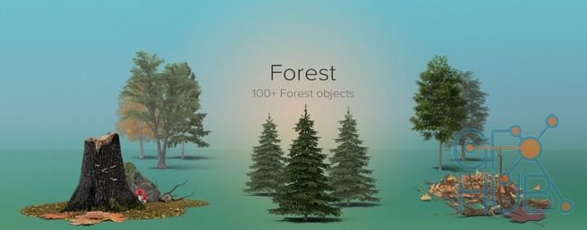 PixelSquid – Forest Details Collection