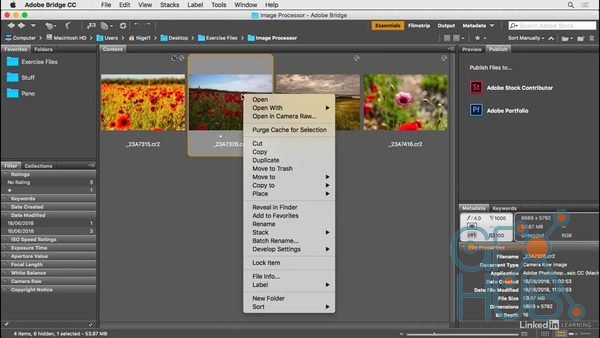 Lynda – Photoshop for Designers: Working with Bridge