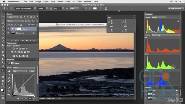 Lynda – Photoshop: Customization