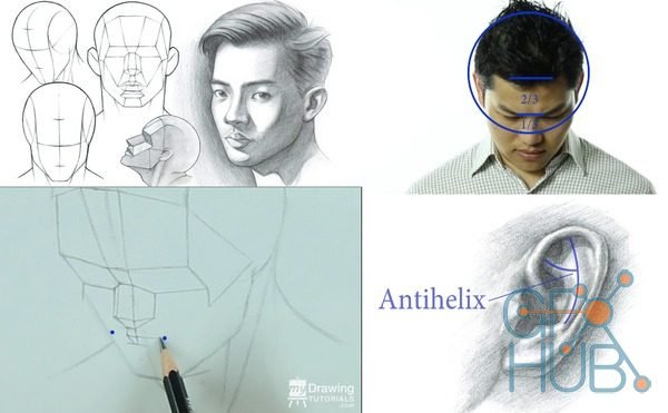 Udemy – Portrait Drawing Fundamentals Made Simple
