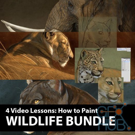 Aaron Blaise – Wildlife Painting Bundle