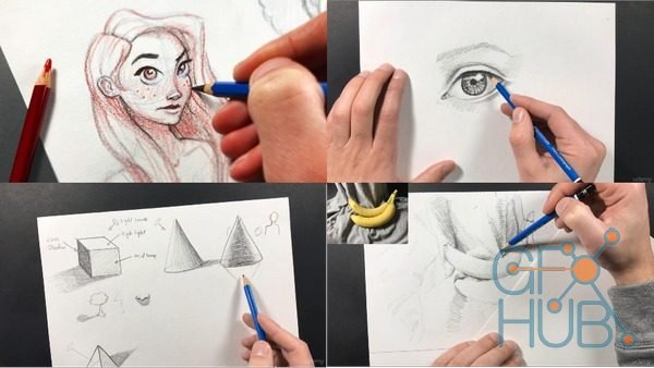 Udemy – The Ultimate Drawing Course – Beginner to Advanced