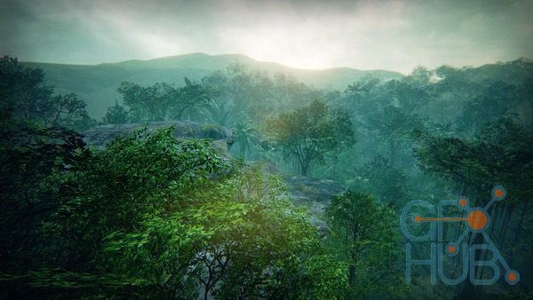 Unreal Engine Marketplace – Tropical Forest