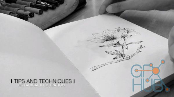 Skillshare - Botanical Illustration: Tips and techniques